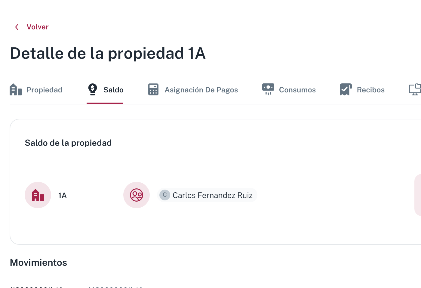 La pestaña Saldo de la propiedad, con la vivienda, su propietario y el bloque Movimientos debajo