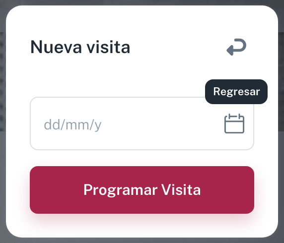El formulario Nueva visita: un único campo de fecha en formato dd/mm/aaaa y el botón Programar Visita